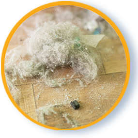 Lint
